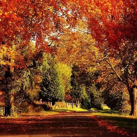 Cavendish Court 度假居 *