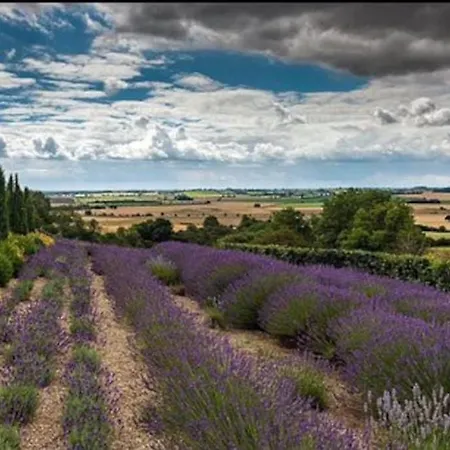 Cavendish Court York